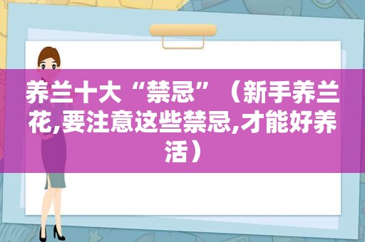 养兰十大“禁忌”（新手养兰花,要注意这些禁忌,才能好养活）