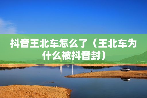 抖音王北车怎么了（王北车为什么被抖音封）