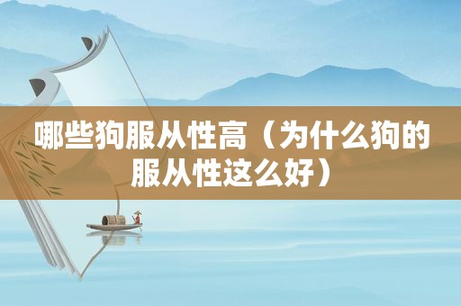 哪些狗服从性高（为什么狗的服从性这么好）