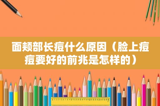 面颊部长痘什么原因（脸上痘痘要好的前兆是怎样的）