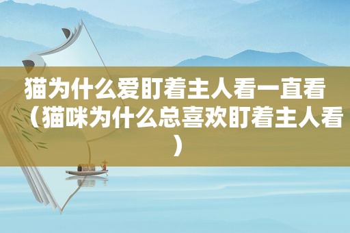猫为什么爱盯着主人看一直看（猫咪为什么总喜欢盯着主人看）