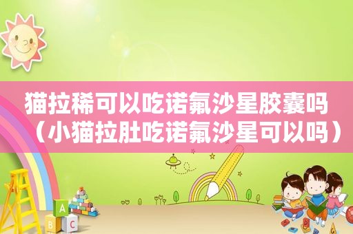 猫拉稀可以吃诺氟沙星胶囊吗（小猫拉肚吃诺氟沙星可以吗）