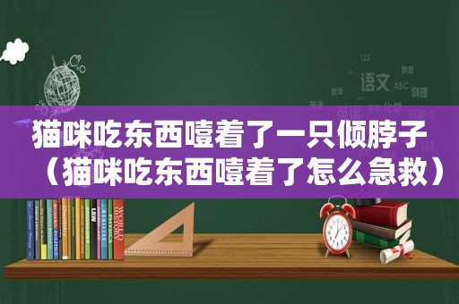 猫咪吃东西噎着了一只倾脖子（猫咪吃东西噎着了怎么急救）