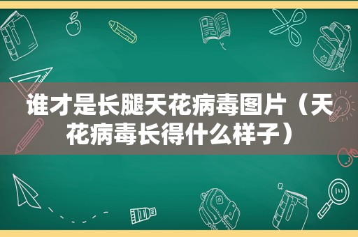 谁才是长腿天花病毒图片（天花病毒长得什么样子）