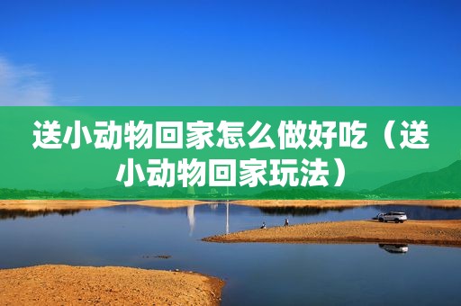 送小动物回家怎么做好吃（送小动物回家玩法）