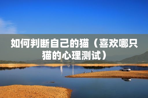 如何判断自己的猫（喜欢哪只猫的心理测试）