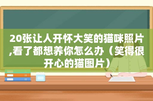 20张让人开怀大笑的猫咪照片,看了都想养你怎么办（笑得很开心的猫图片）