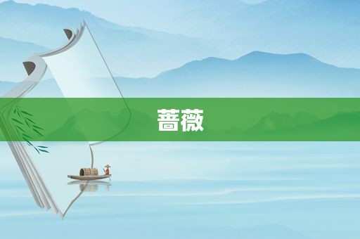 蔷薇
