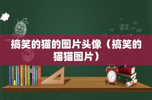 搞笑的猫的图片头像（搞笑的猫猫图片）