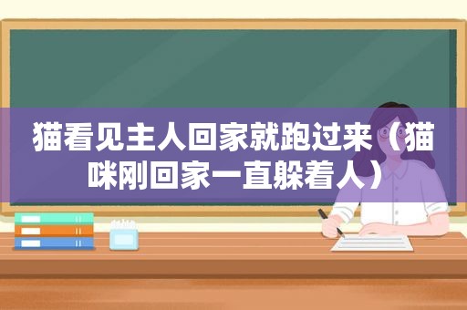猫看见主人回家就跑过来（猫咪刚回家一直躲着人）