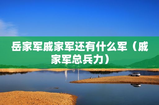 岳家军戚家军还有什么军（戚家军总兵力）