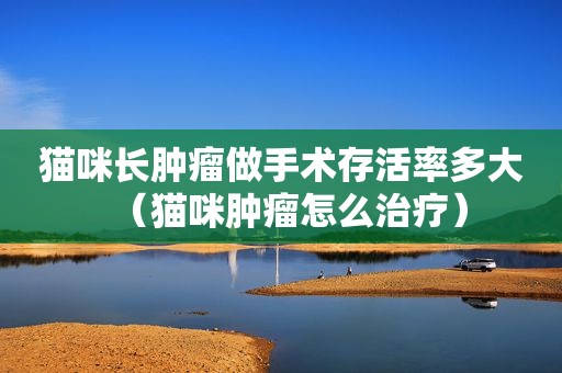 猫咪长肿瘤做手术存活率多大（猫咪肿瘤怎么治疗）