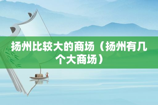 扬州比较大的商场（扬州有几个大商场）