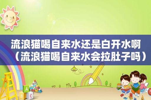 流浪猫喝自来水还是白开水啊（流浪猫喝自来水会拉肚子吗）
