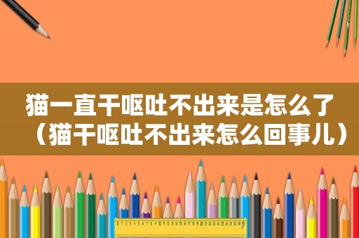 猫一直干呕吐不出来是怎么了（猫干呕吐不出来怎么回事儿）