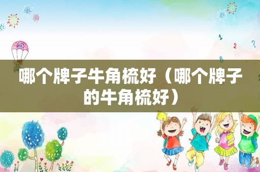 哪个牌子牛角梳好（哪个牌子的牛角梳好）