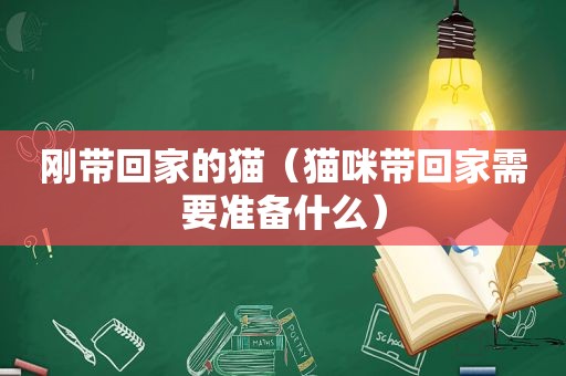 刚带回家的猫（猫咪带回家需要准备什么）