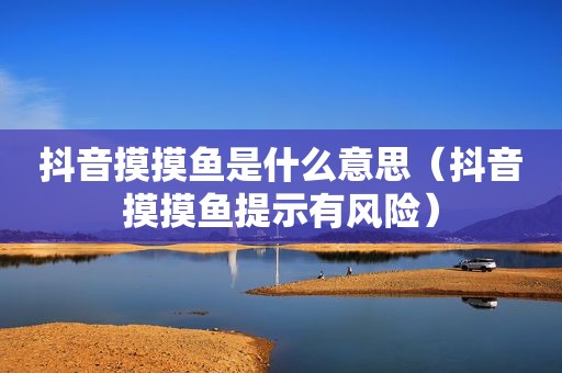 抖音摸摸鱼是什么意思（抖音摸摸鱼提示有风险）