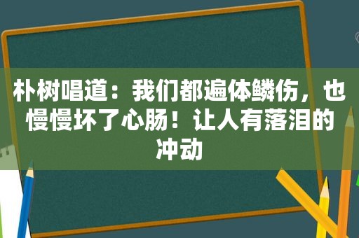 朴树唱道：我们都遍体鳞伤，也慢慢坏了心肠！让人有落泪的冲动
