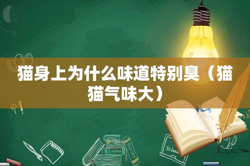 猫身上为什么味道特别臭（猫猫气味大）