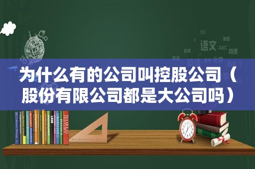 为什么有的公司叫控股公司（股份有限公司都是大公司吗）