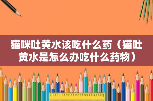 猫咪吐黄水该吃什么药（猫吐黄水是怎么办吃什么药物）