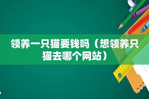 领养一只猫要钱吗（想领养只猫去哪个网站）