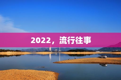 2022，流行往事