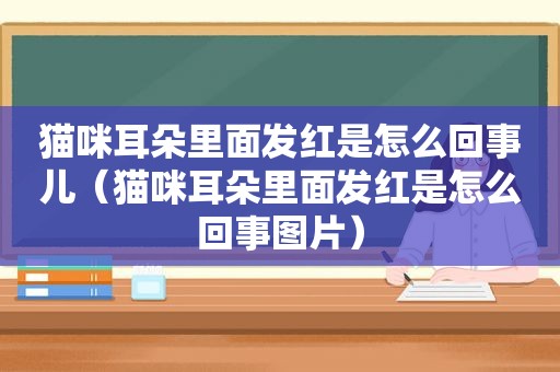 猫咪耳朵里面发红是怎么回事儿（猫咪耳朵里面发红是怎么回事图片）