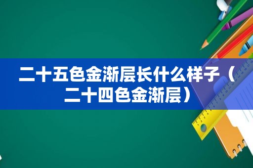 二十五色金渐层长什么样子（二十四色金渐层）
