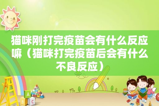 猫咪刚打完疫苗会有什么反应嘛（猫咪打完疫苗后会有什么不良反应）