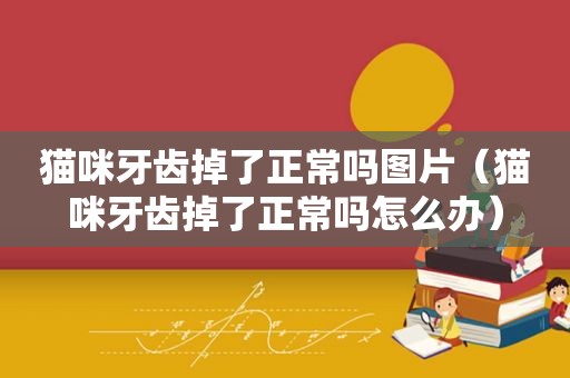 猫咪牙齿掉了正常吗图片（猫咪牙齿掉了正常吗怎么办）