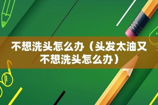 不想洗头怎么办（头发太油又不想洗头怎么办）