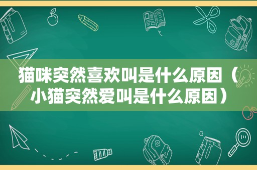 猫咪突然喜欢叫是什么原因（小猫突然爱叫是什么原因）
