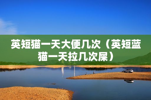 英短猫一天大便几次（英短蓝猫一天拉几次屎）