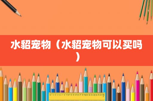 水貂宠物（水貂宠物可以买吗）