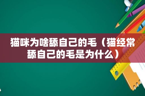 猫咪为啥舔自己的毛（猫经常舔自己的毛是为什么）