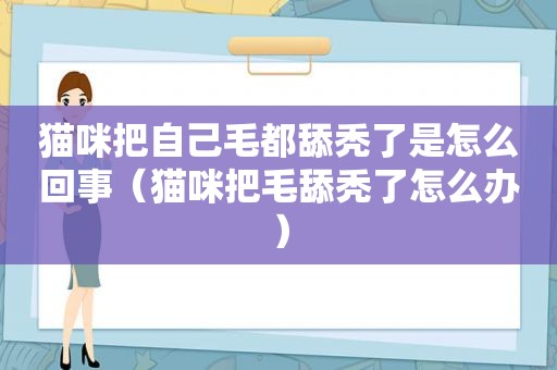 猫咪把自己毛都舔秃了是怎么回事（猫咪把毛舔秃了怎么办）