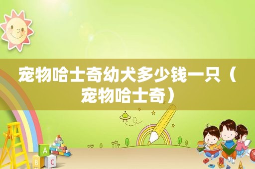 宠物哈士奇幼犬多少钱一只（宠物哈士奇）