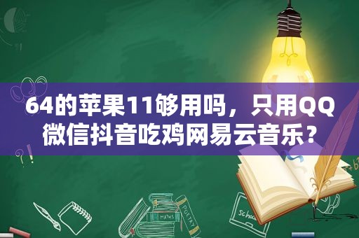 64的苹果11够用吗，只用QQ微信抖音吃鸡网易云音乐？