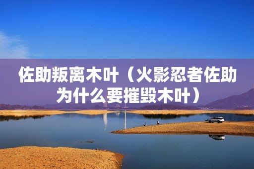 佐助叛离木叶（火影忍者佐助为什么要摧毁木叶）