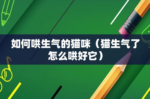 如何哄生气的猫咪（猫生气了怎么哄好它）