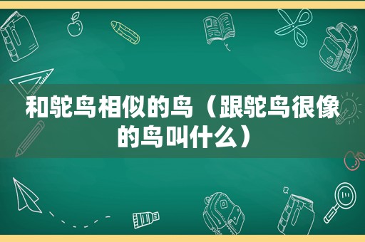 和鸵鸟相似的鸟（跟鸵鸟很像的鸟叫什么）