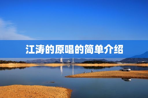 江涛的原唱的简单介绍