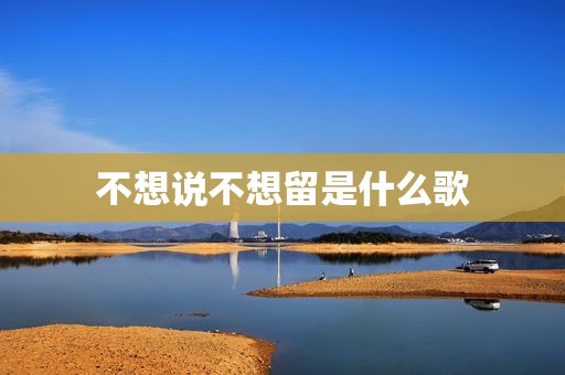 不想说不想留是什么歌