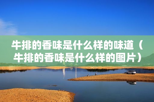牛排的香味是什么样的味道（牛排的香味是什么样的图片）