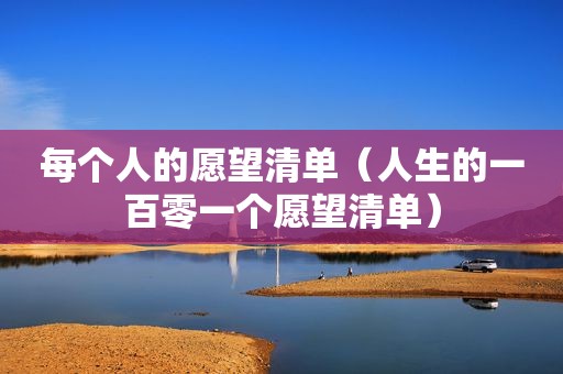 每个人的愿望清单（人生的一百零一个愿望清单）