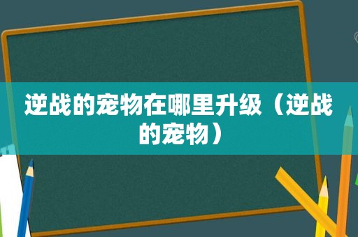 逆战的宠物在哪里升级（逆战的宠物）