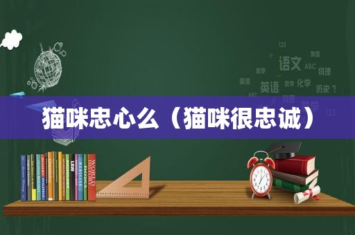 猫咪忠心么（猫咪很忠诚）
