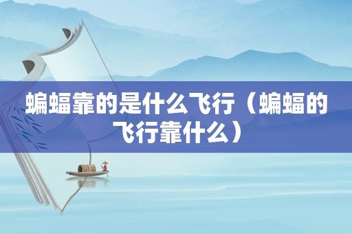 蝙蝠靠的是什么飞行（蝙蝠的飞行靠什么）